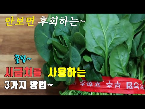 간단하고 맛있는~ 시금치요리 3가지. 시금치 무침, 시금치 겉절이, 시금치밥 3 kinds of dried spinach recipe, korea food recipe [강쉪]