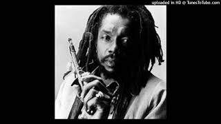 Peter Tosh - Johnny B Goode