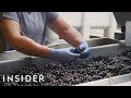 How Wine Is Made