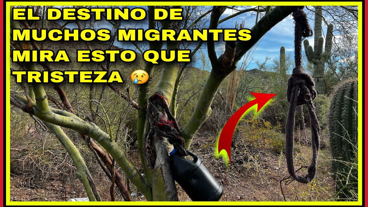 AVENTURA 274 POSIBLEMENTE UN MIGRANTE SE QUISO AHORCAR POR LA DESESPERACIÓN DE HAMBRE O SED.