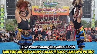 Download Lagu Bantengan Suro Galak❗Jaranan ROGO SAMBOYO PUTRO Live Parut Parang Banyakan Kediri MP3