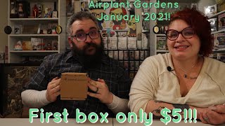 Airplant Gardens Subscription Mystery Plant Box - January 2021
