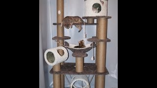 Игровой комплекс для кошек арт.310 Игровой комплекс для кошек арт.310