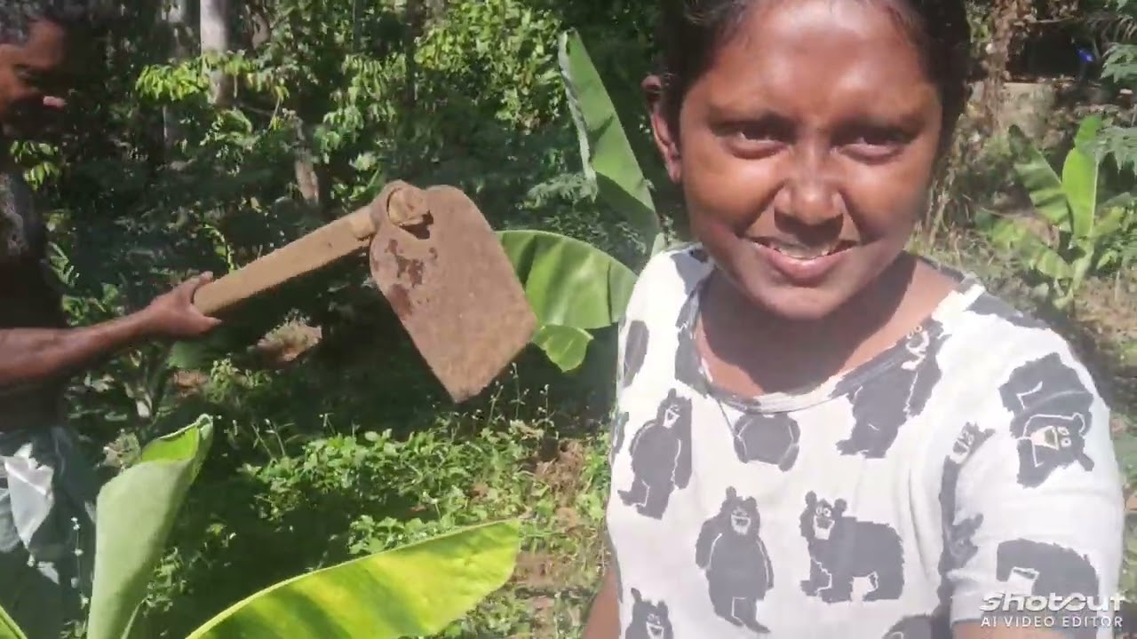 വാഴ തോട്ടത്തിലൂടെ ഒരു യാത്ര🌱