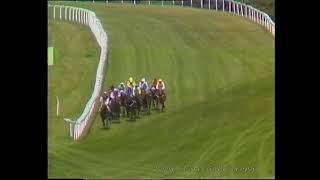 1990 Tote D Trophy Handicap Inc Replay
