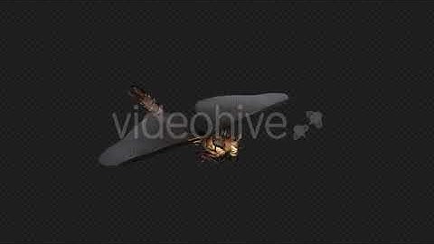 DragonFly Idle Pack04 4 In 1 | Motion Graphics - Envato elements