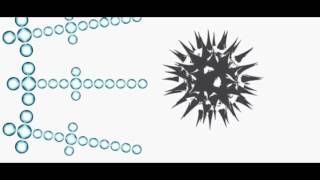 BactiBarrier Explained