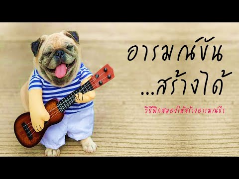 วีดีโอ: ทรงกลมอารมณ์ - วิธีการพัฒนา?