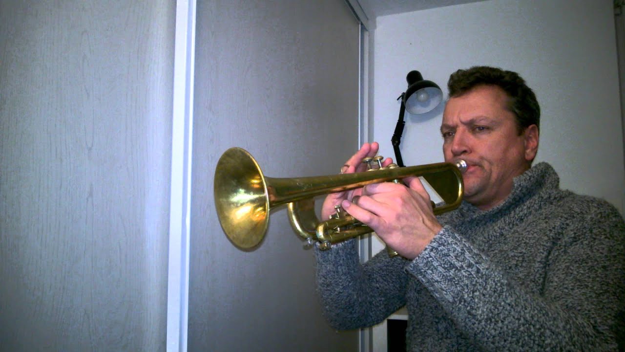 Star Wars Imperial March played on Olds Ambassador Fullerton Califonia