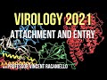 Virology Lectures 2021 #5 - Attachment and entry