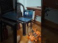 gesture control