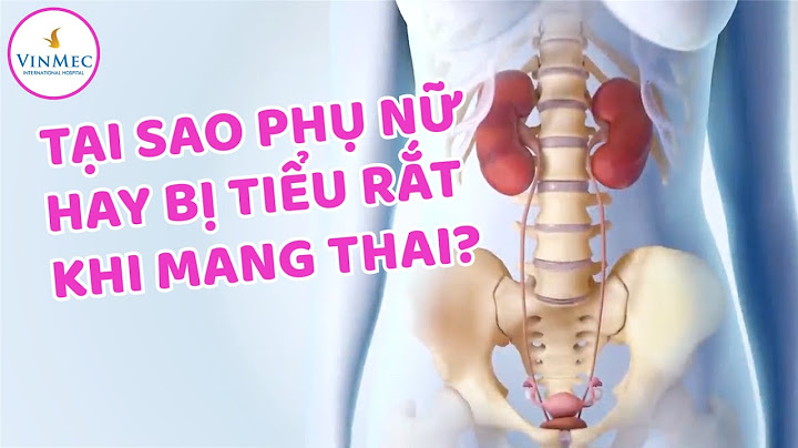 Có thai bao nhiêu tuần thì đi tiểu nhiều năm 2024