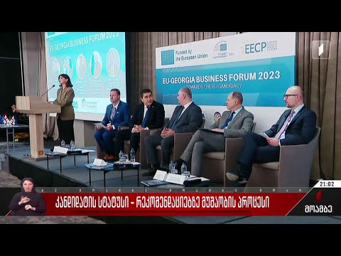 კანდიდატის სტატუსი - რეკომენდაციებზე მუშაობის პროცესი