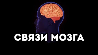 Мозг и его нейронные связи