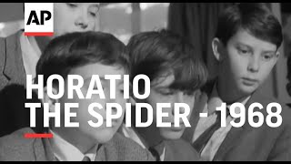 Horatio the Spider - 1968 | The Archivist Presents | #384