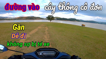 Tour Đà Lạt 2022 | Có 1 Con Đường Vào Cây Thông Cô Đơn Rất Gần & Rất Dễ Đi Nhưng Mà... #P2