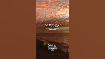 #المصحف #قران_كريم #دويتو #سورةالفرقان-ويوم يعض الظالم على يديه 😓😓#تلاوة_خاشعة