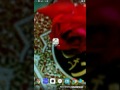 تحميل برنامج اياتي 