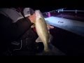 Preview: Mississippi River Walleyes by the Moonlight - The Next Bite Season #9 Episode #12