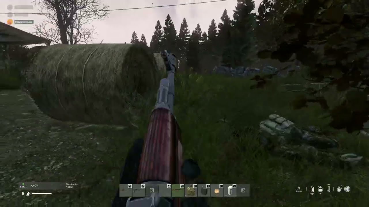 DayZ - Fin heureuse.
