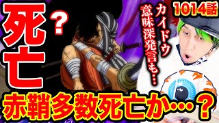 ワンピース1014話 実写反応 衝撃 最新話で赤鞘九人男死亡者多発 カイドウがジョイボーイを ルフィvsカイドウの結果 One Piece1014 ワンピースネタバレ ワンピース考察 Youtube