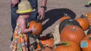 AZ Key: MacDonald's Ranch Pumpkin Festival