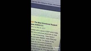 FAKE SERVICE DOGS [PART 4] ❌🦮