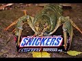 Что будет если зарядить в раколовку SNICKERS и WD 40,крайний эксперимент в этом году