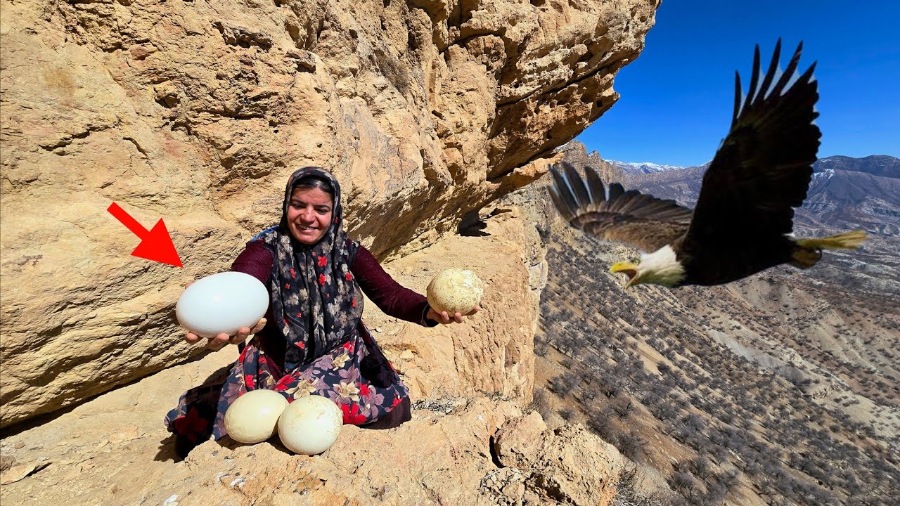Приключения кочевой женщины. Странные яйца неизвестной птицы в горах.