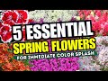 😍 WAKE UP YOUR GARDEN! 5 Essential Spring Flowers for Immediate Color Splash! 🌈🌼