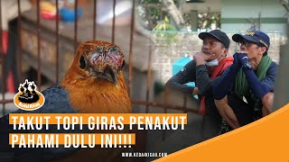 ANIS GIRAS NABRAK-NABRAK TAKUT TOPI | TONTON INI BIAR PAHAM