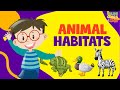 Animal Habitats Quiz