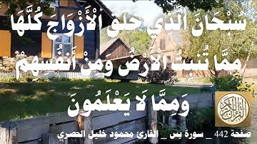 442 الصفحة   القرآن الكريم   سورة يس   بصوت الحصري
