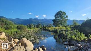 Spring Wetlands of Düzce | Classical Music & Nature Ambience