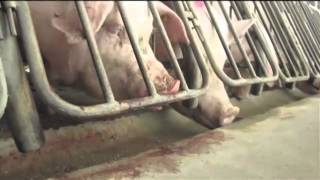 Garden State Legislature Hits the Heartland