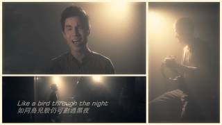 Chandelier (Cover)-Sam Tsui中英字幕（Sparksfly制）