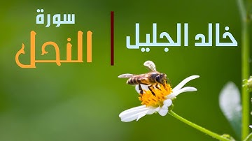 سورة النحل - بصوت القارئ خالد الجليل
