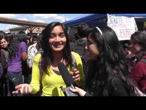 MSJ Multicultural Week: Monday and Tuesday