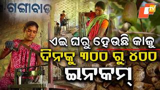 କେଉଁଠି କେମିତି ତିଆରି ହୁଏ କାଜୁ ? Cashew Processing at Home: A Rural Livelihood Story from Gajapati