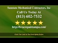 Sunstate Mechanical Contractors Reviews  - Tampa / Sunstate Mechanical 5 Star Review by P. Fernandez