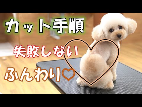 Trimming Design Cut Of Toy Poodle A Way Of Making A Heart Mark Youtube