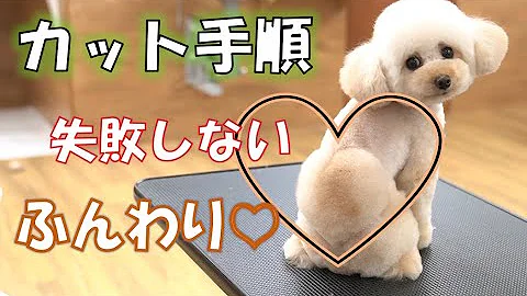 プードル デザイン カット تحميل Download Mp4 Mp3 プードル デザイン カット تحميل Download Mp4 Mp3