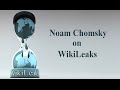 Noam Chomsky on WikiLeaks