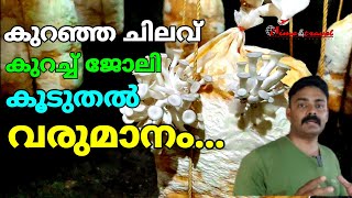 കൂൺ കൃഷി എങ്ങിനെ ചെയ്യാം how to earn more money from low investment,Mushroom, seed,farming,Malayalam