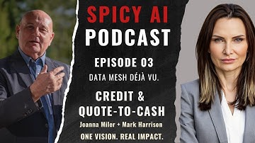Spicy AI Podcast (Episode 3)- Data Mesh déjà vu