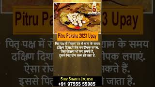 Pitru Paksha 2023 Upay  tips horoscope couple lovemarriage marriage astrologer shortsfeed