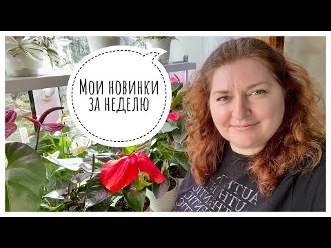 Будни цветовода | Все мои новинки за неделю | 01.05.2023г.