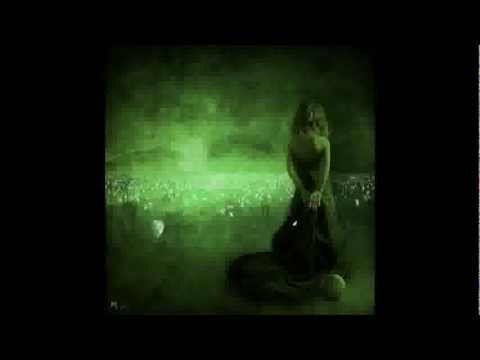 Saeed Shayesteh Azaram Bedi