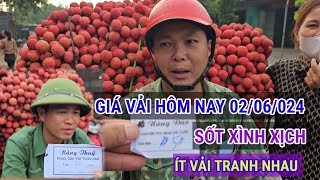 CẬP NHẬT GIÁ VẢI U HỒNG, THANH HÀ HÔM NAY 02/06/2024 ÍT VẢI TRANH NHAU TỪNG SỌT