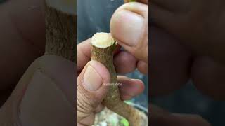 Download Lagu October 11, 2025 MP3